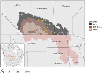 Soil carbon dynamics in drained prairie pothole wetlands
